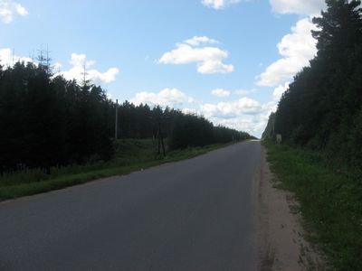 Дорога на Любытино
