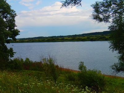 Река Шелонь в Шимском районе 

