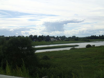 Река Шелонь у Сольцов
